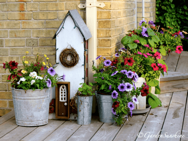 18._FLower_planters_from_old_bucket_1
