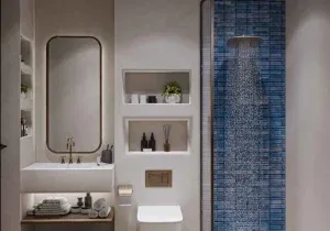 Toilet and Bathroom Direction as per Vastu
