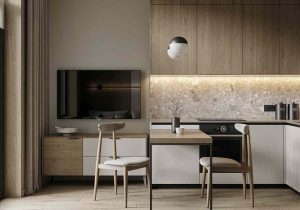 Small Modular Kitchen Design